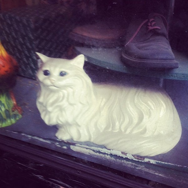 nob hill shoe repair