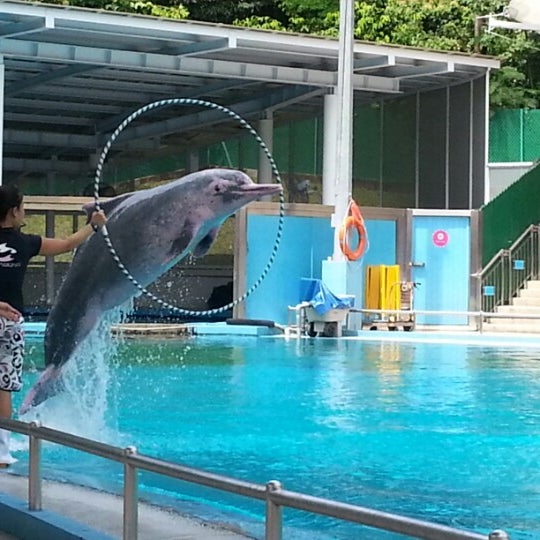Photo taken at Underwater World And Dolphin Lagoon by Angela T. on 7/7/2012