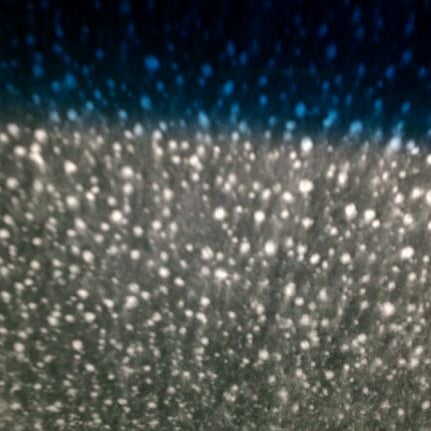 4/10/2012 tarihinde Miles D.ziyaretçi tarafından Super Car Wash'de çekilen fotoğraf
