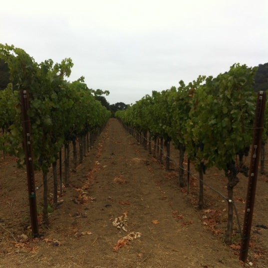 Foto scattata a Odette Estate Winery da Killa K. il 9/1/2012