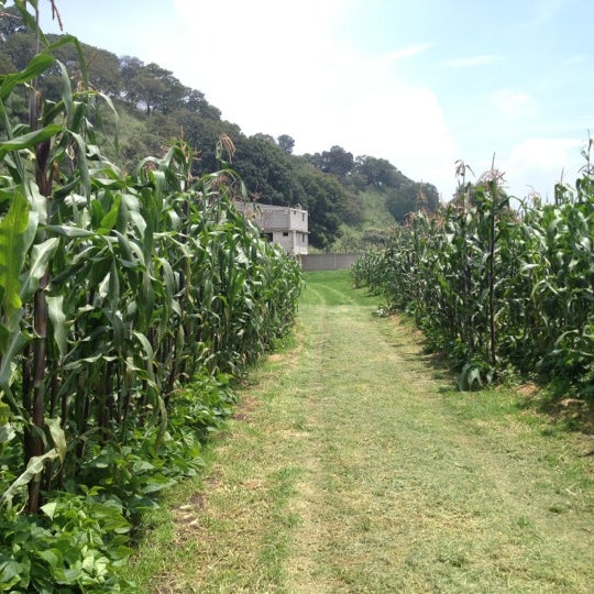 San Pablo Oztotepec 2 tips from 156 visitors