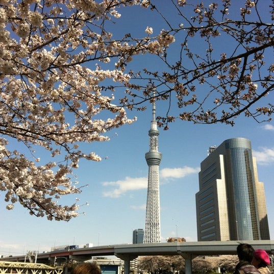 隅田公園 13 Tips From 5166 Visitors