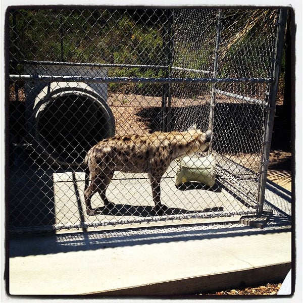 Das Foto wurde bei Wild Things - Monterey Zoo von Andy O. am 7/7/2012 aufgenommen