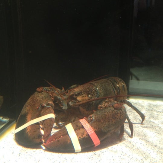 Снимок сделан в Red Lobster пользователем Jimmy T. 6/13/2012