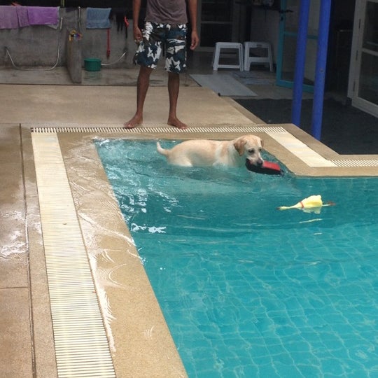 Pool 53 Мцхета