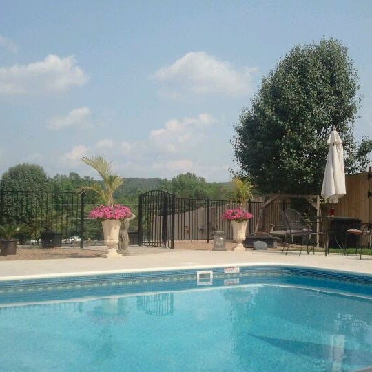 Отель фламинго камеры адлер. Веб камера бассейн фламинго. Отель фламинго адлер бассейн. Веб камера бассейн фламинго. Адлер набережная гостиница фламинго.