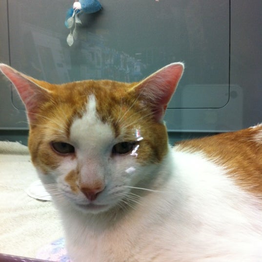 Photos At Pisces Pet Emporium Pet Store In Northeast Calgary