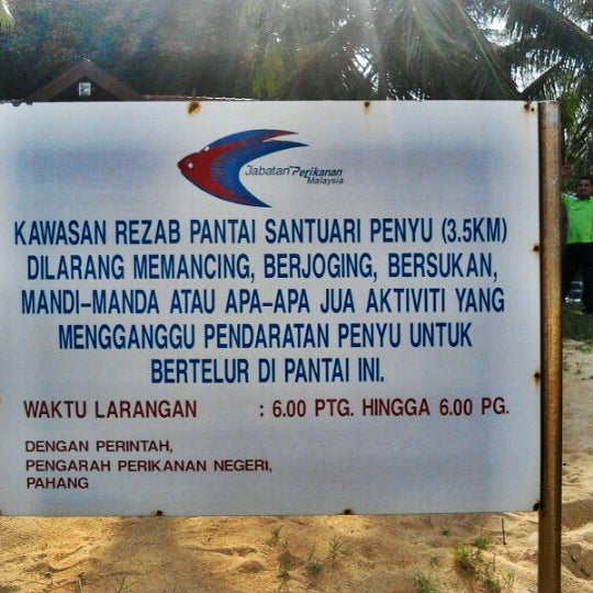 Photos at Turtle Sanctuary (Hatching) - Animal Shelter