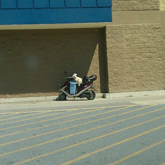 次での写真：Walmart Supercenter Lurayの大型店