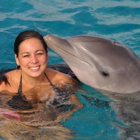 7/6/2011 tarihinde Gabriella H.ziyaretçi tarafından Dolphin Academy'de çekilen fotoğraf