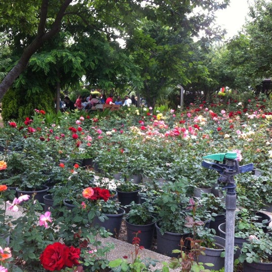 Foto scattata a Çim Kahvaltı &amp; Mangal Bahçesi da Gökhan B. il 5/20/2012