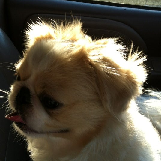 Pet Food CenterNorth Evansville, IN