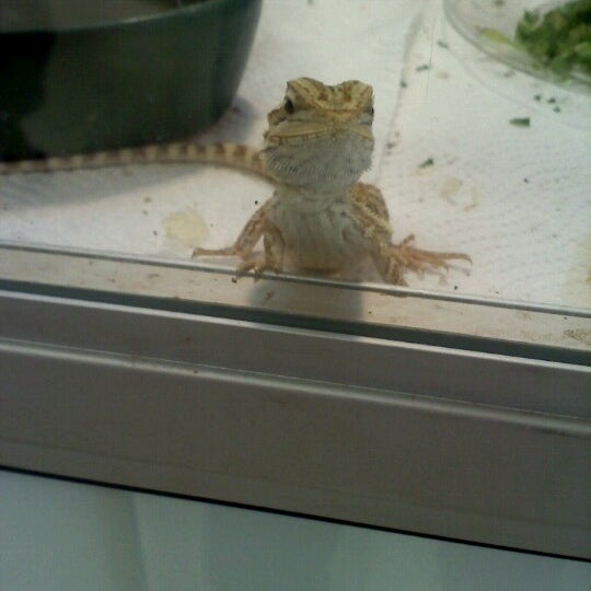 Terri's Aqualand Pet Center Pet Supplies Store in Loves Park