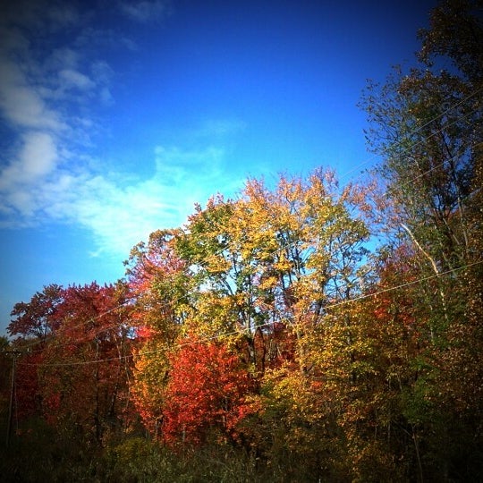 Photos at ShopRite of Vailsgate Grocery Store in Vails Gate