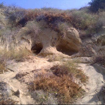 รูปภาพถ่ายที่ Oak Canyon Nature Center โดย alex g. เมื่อ 7/31/2011