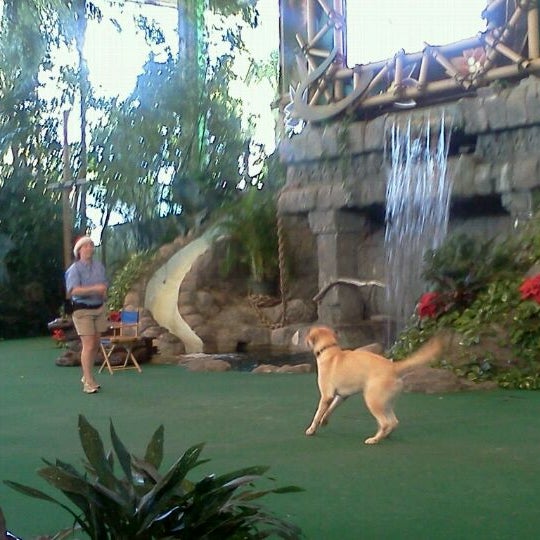 Animal Actors on Location! - Woody Woodpecker's KidZone Animal Actors on Location! - Woody Woodpecker's KidZone