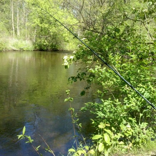 Rogue River Park White Pine Trail State Park Trail