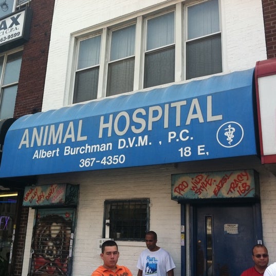 armory animal hospital