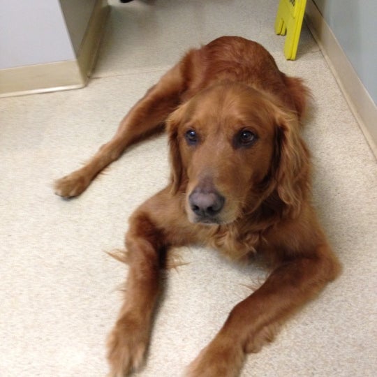 Pets ER Kmart Shopping Center