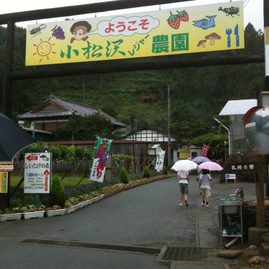 小松沢レジャー農園 横瀬町の農場