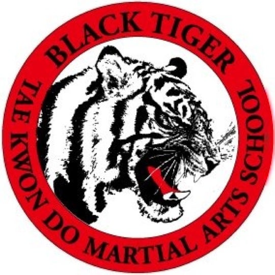 Black Tiger Tae Kwon Do Martial Arts School San Ramon CA