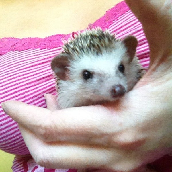 Total Pet Pet Supplies Store in Kelowna