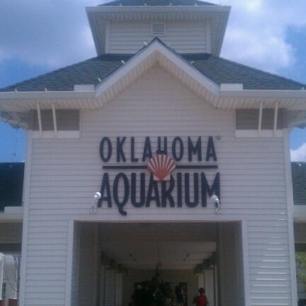 Photo prise au Oklahoma Aquarium par Stephen H. le8/19/2012
