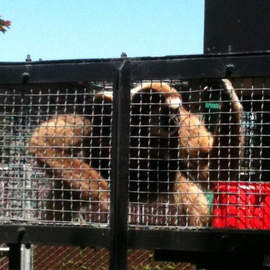 Photo taken at Sequoia Park Zoo by Miquela on 7/4/2012
