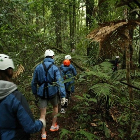 Foto scattata a Rotorua Canopy Tours da Adrian H. il 8/21/2012