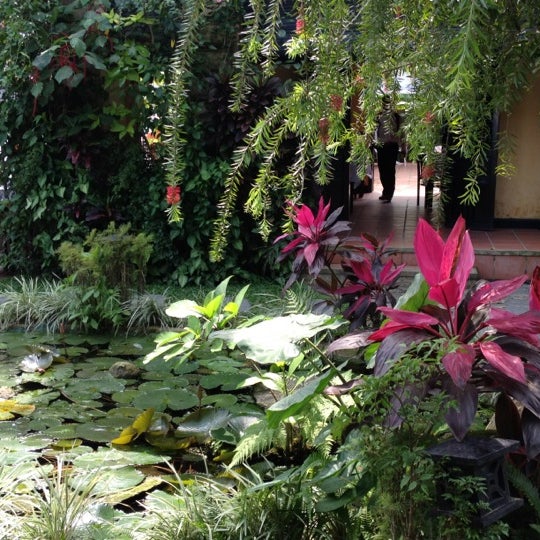 Photos at Brother Cafe 15 tips