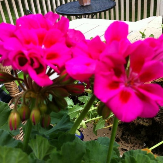 Fairless Hills Garden Center - Hardware Store in Fairless Hills