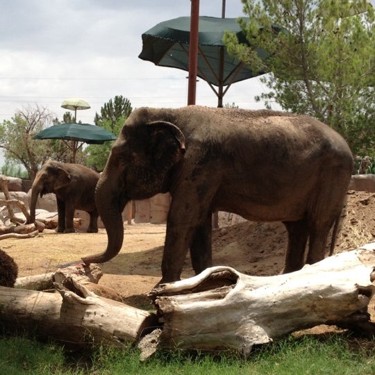 Снимок сделан в El Paso Zoo пользователем Goldie A. 7/7/2012