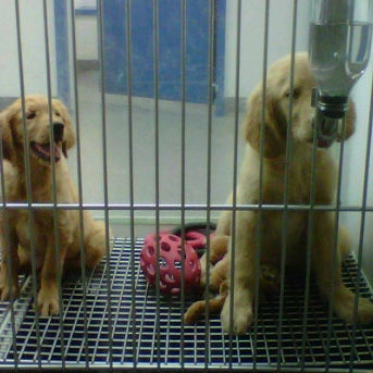 Rumford Pet Center - Warwick, RI
