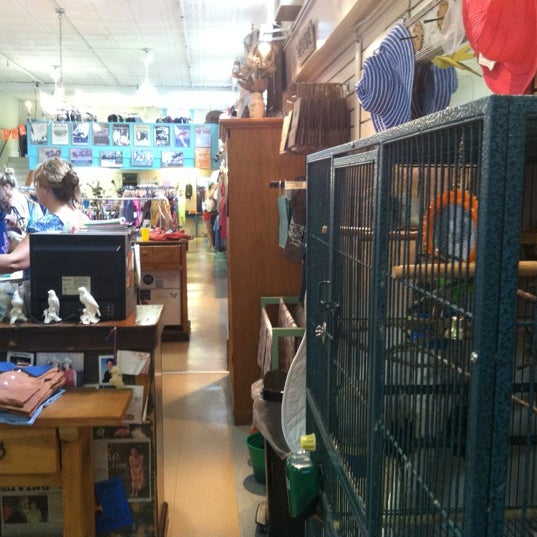 Finch Clothing Store