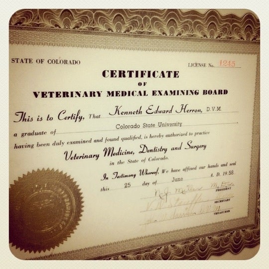 The Pet Clinic Veterinarian In West Chula Vista