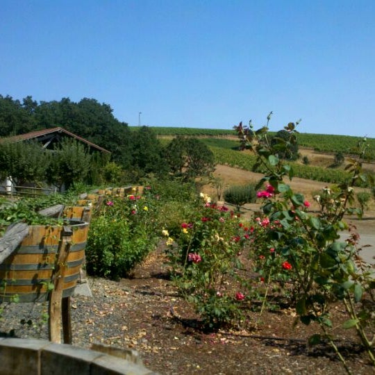 Photo taken at Yamhill Valley Vineyards by Craig C. on 9/10/2011