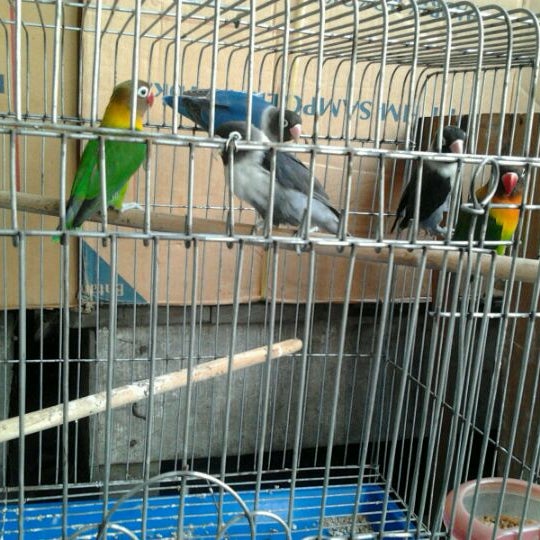 Photos At Toko Burung Aneka Satwa