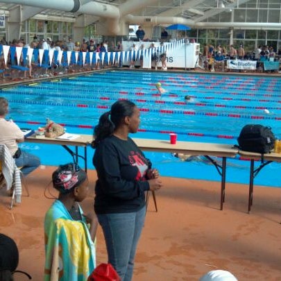 Lakeshore Pool 66 Visitors