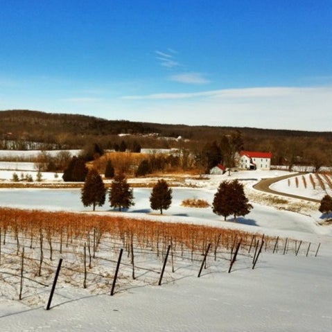 Foto tirada no(a) Chandler Hill Vineyards por Greg V. em 2/12/2011