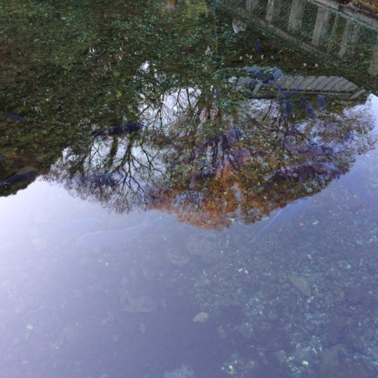 Fotos Em 清左衛門地獄池湧水 Lago Em 南足柄