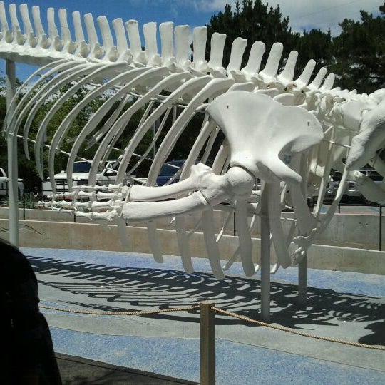 Foto scattata a Santa Barbara Museum Of Natural History da DeVonae W. il 5/29/2011