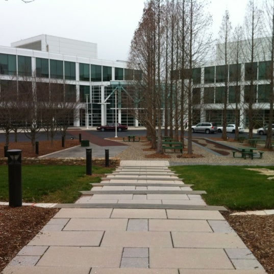 My Image 16