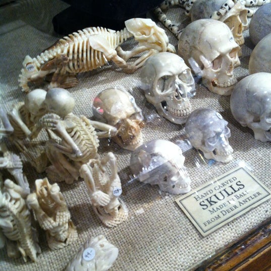 8/14/2012 tarihinde Bernie A.ziyaretçi tarafından The Evolution Store'de çekilen fotoğraf