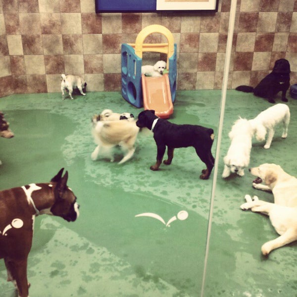 Photos At Petsmart Petshotel Perimeter Center 0 Tips