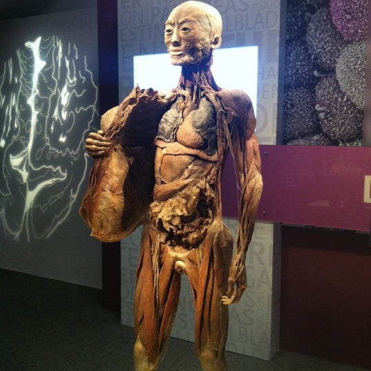 Photo taken at BODIES...The Exhibition by Meghan F. on 8/25/2012