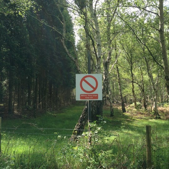 Thetford Forest Camping And Caravanning Club Site Thetford Norfolk