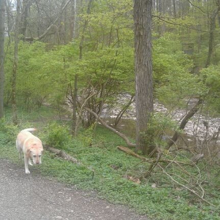 Photos At Red Bird Hollow Trail In Indian Hill Redbird hollow is a special place to walk. foursquare