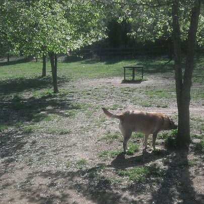 Photos At Greenway Farm Northgate Big Ridge Chattanooga Tn