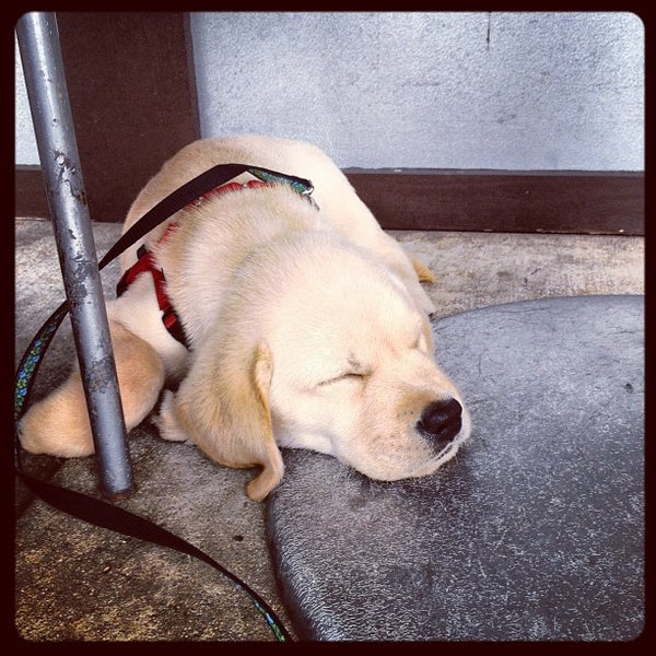 9/8/2012 tarihinde david s.ziyaretçi tarafından Market Street Coffee'de çekilen fotoğraf