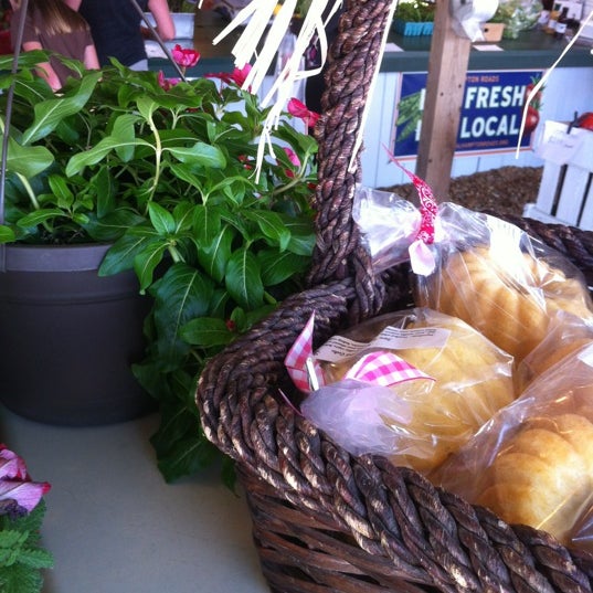 Cullipher Farm PungoBlackwater Virginia Beach, VA